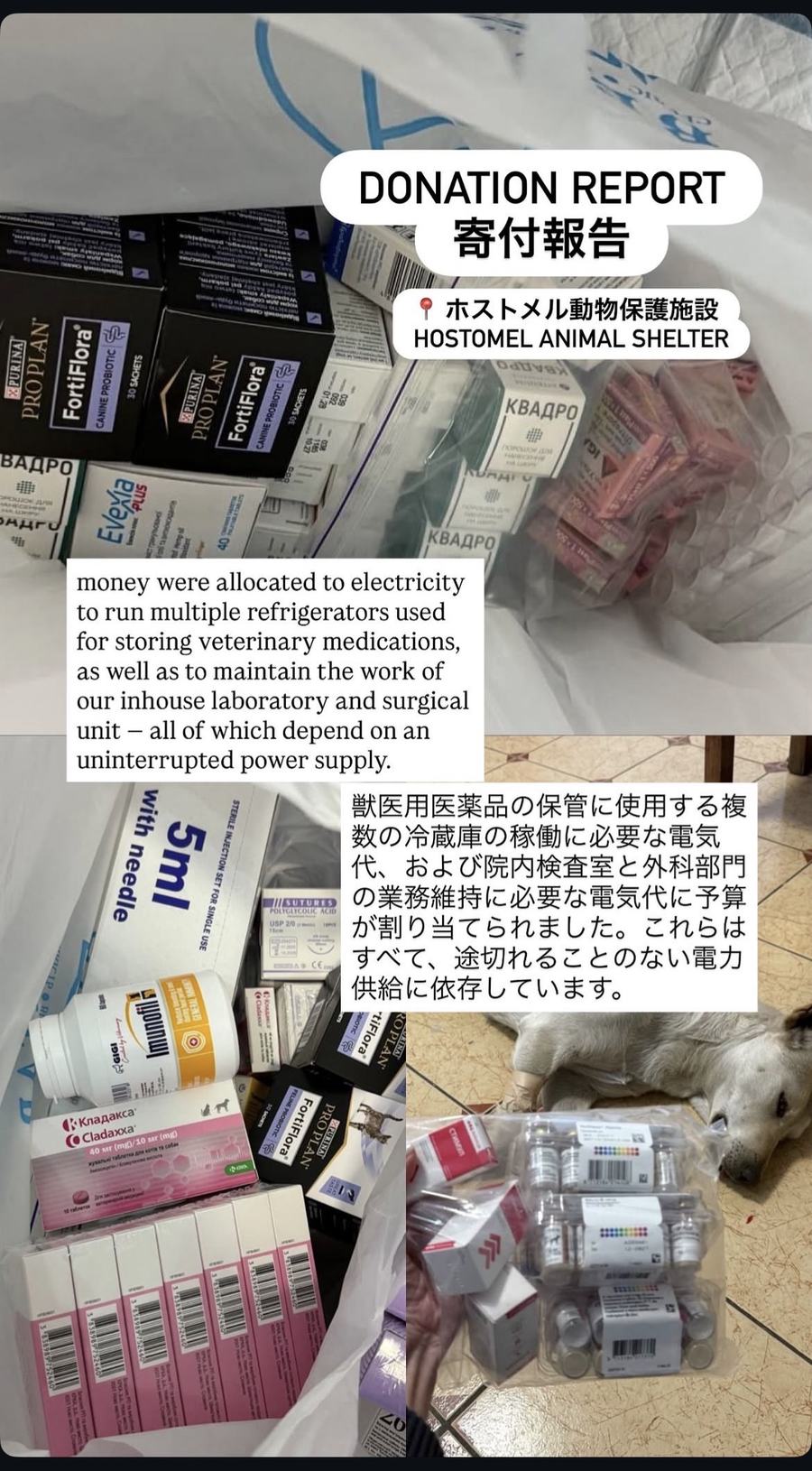 Veterinary medicines for the Hostomel animal shelter, and the electricity to keep them refrigerated.